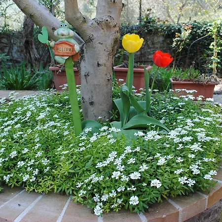 Villa Le Casaline Messenano