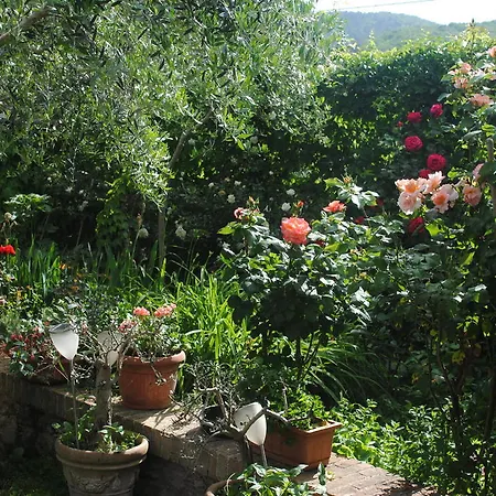 Villa Le Casaline