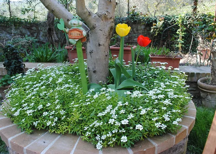 Villa Le Casaline Messenano